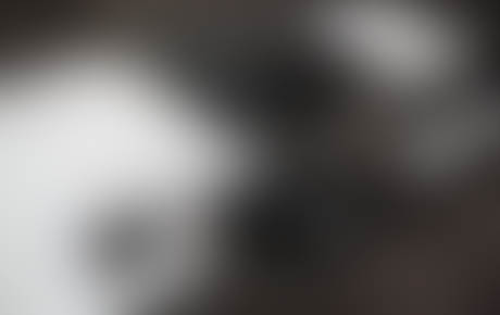 Duis tincidunt erat quam. Etiam placerat sapien elit. Pellentesque egestas ornare sagittis. Sed augue lorem, dignissim eget bibendum vitae, scelerisque eget justo. Class aptent taciti sociosqu ad litora torquent per conubia nostra, per inceptos himenaeos.